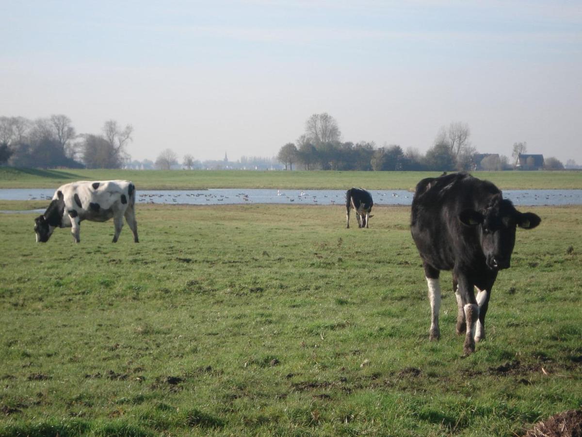 Charming House In Easterlittens On A Frisian Farm Wommels Exterior photo